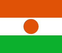 Communiqué du Bureau Politique Provisoire sur la situation au Niger